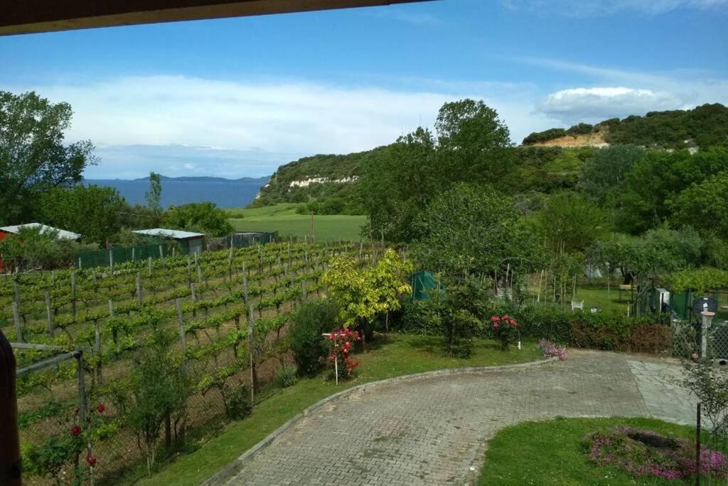 Sotiria House Apartment Sea View Lovely Garden Ierissos Bagian luar foto