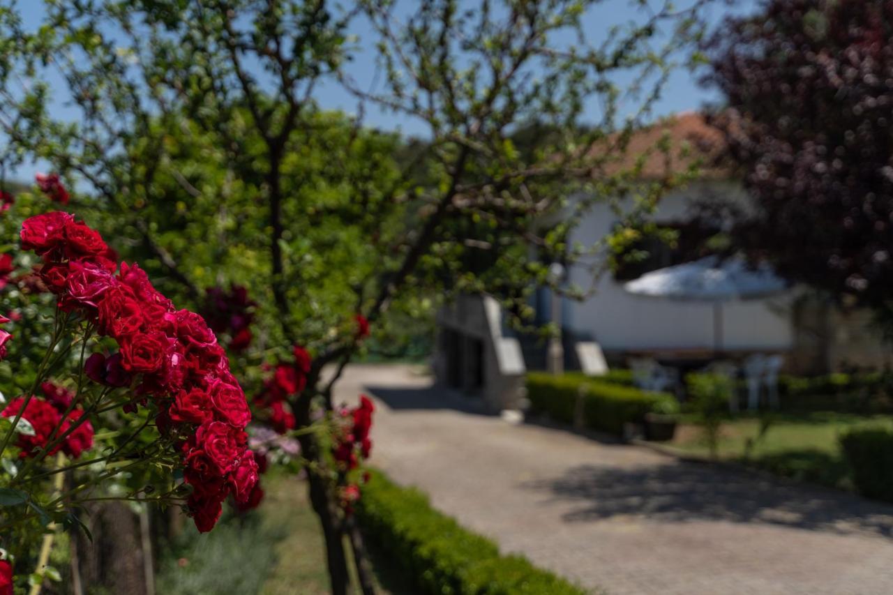 Sotiria House Apartment Sea View Lovely Garden Ierissos Bagian luar foto